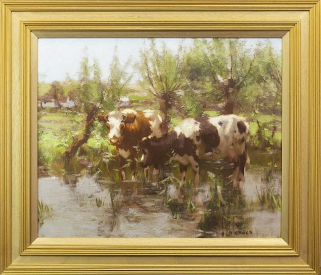CALVES DRINKING WATER by David Gauld