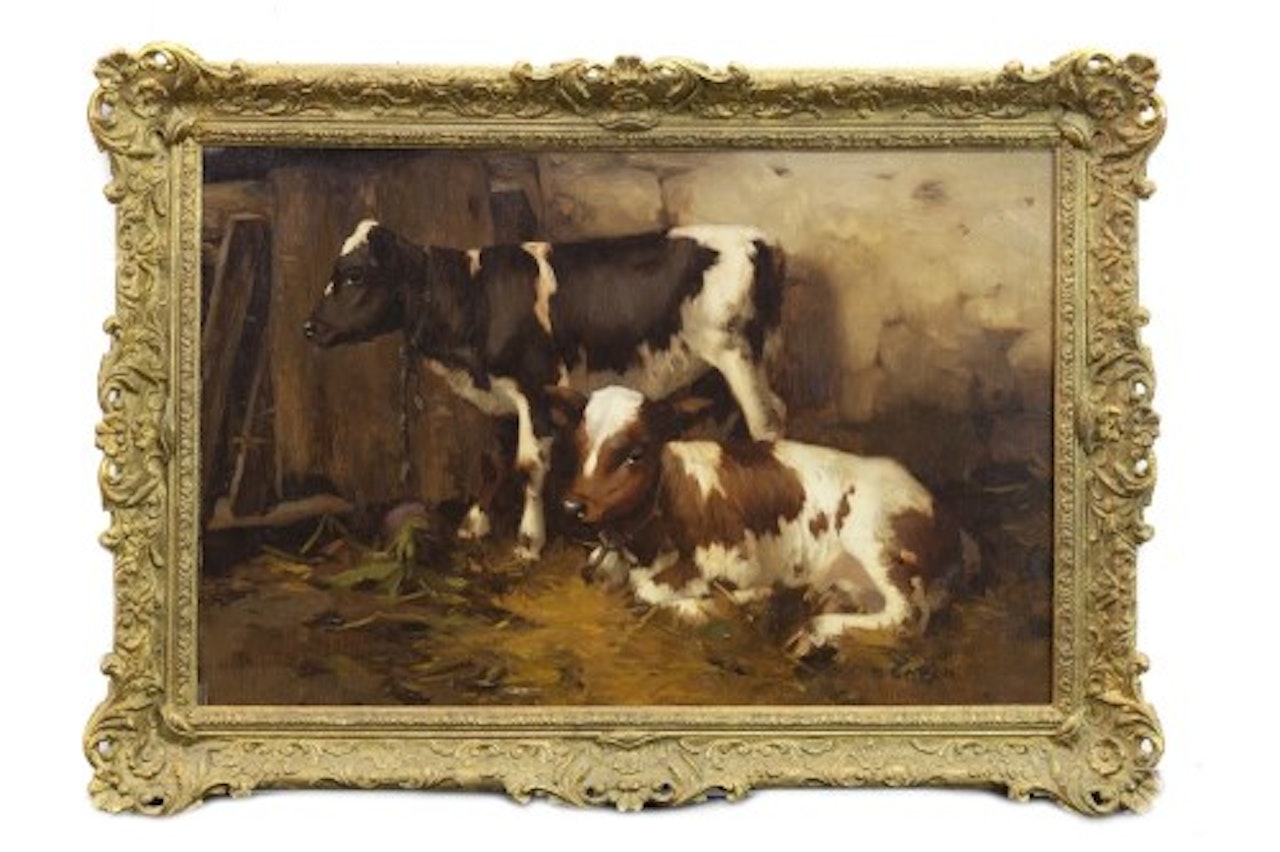 TWO AYRSHIRE CALVES by David Gauld