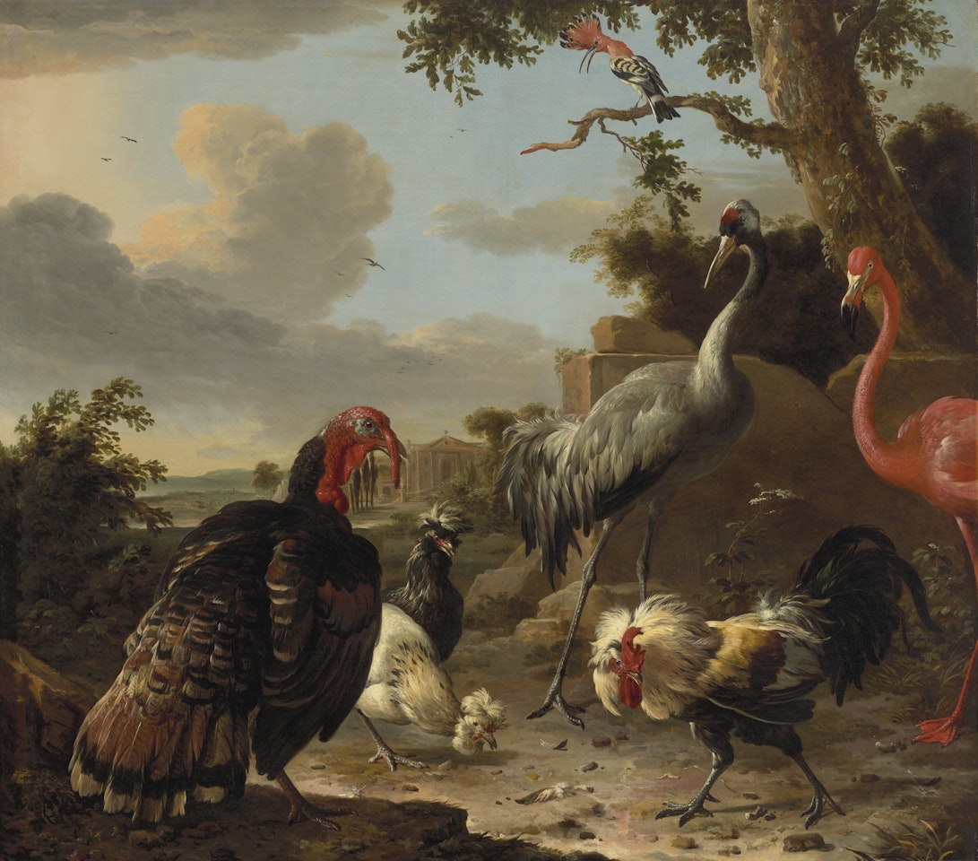A sarus crane, a flamingo, a wild bronze turkey cock, two Paduan fowl, a silver birchen game cockerel, and a hoopoe in a landscape by Melchior de Hondecoeter