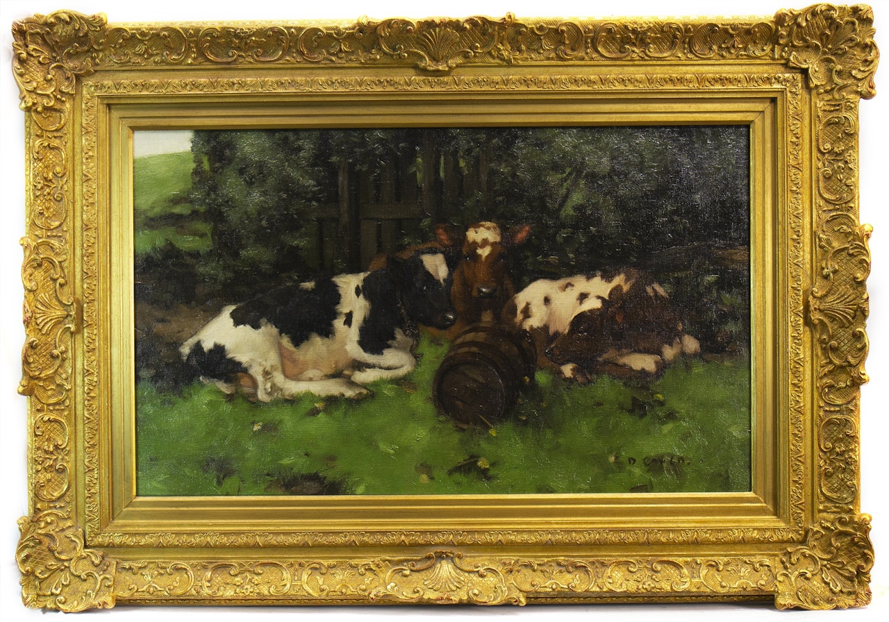 THREE CALVES RESTING by David Gauld