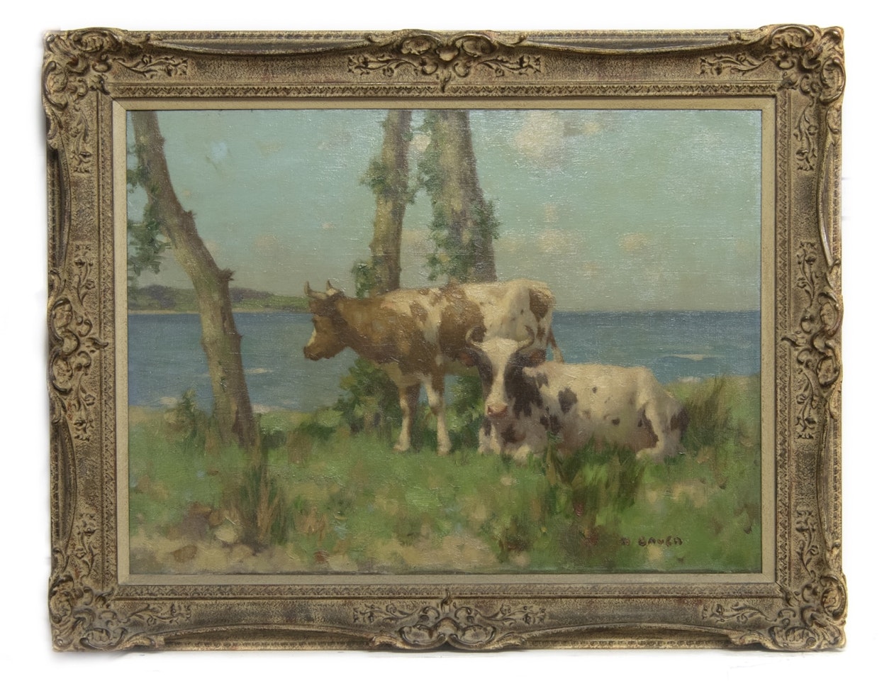 AYRSHIRE COWS RESTING BY THE SEA by David Gauld