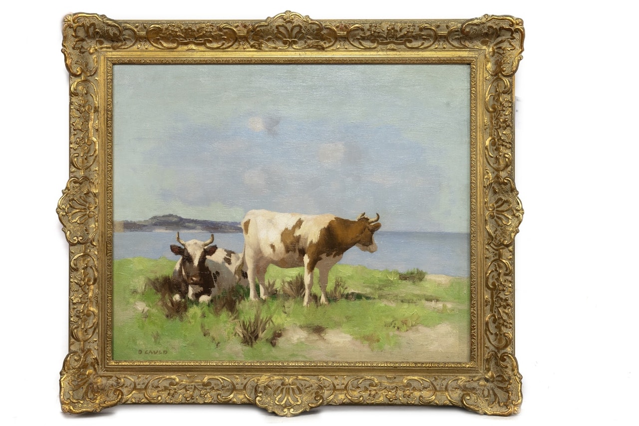 AYRSHIRE CATTLE LOOKING OUT TO SEA by David Gauld