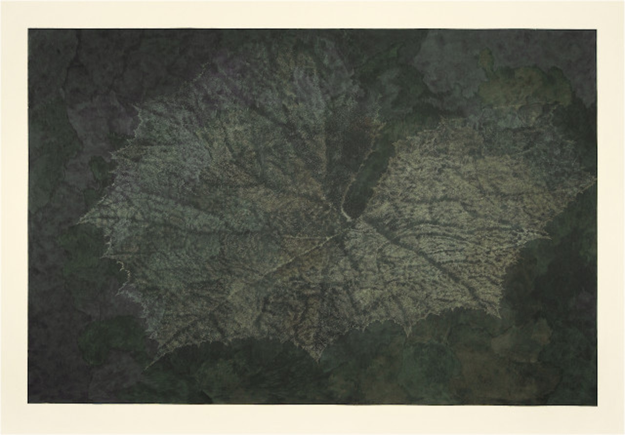 Pestwurz IV by Franz Gertsch