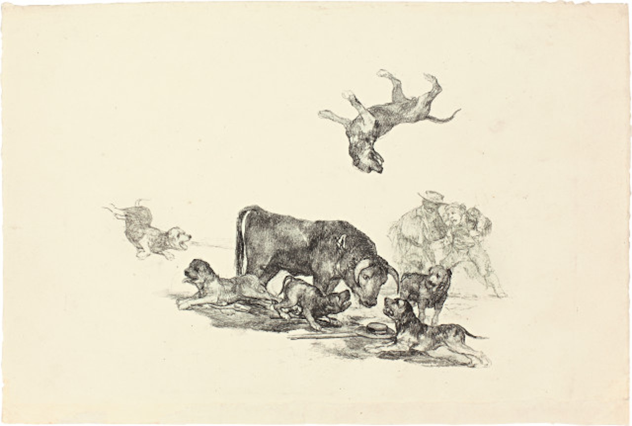 Bull attacked by Dogs - Taureau attaqué par les chiens by Francisco José de Goya