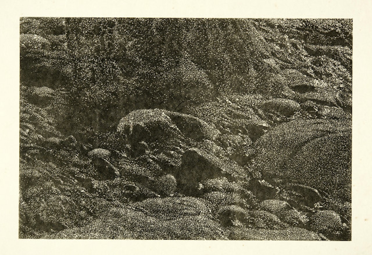 Cima del Mar (Ausschnitt) by Franz Gertsch
