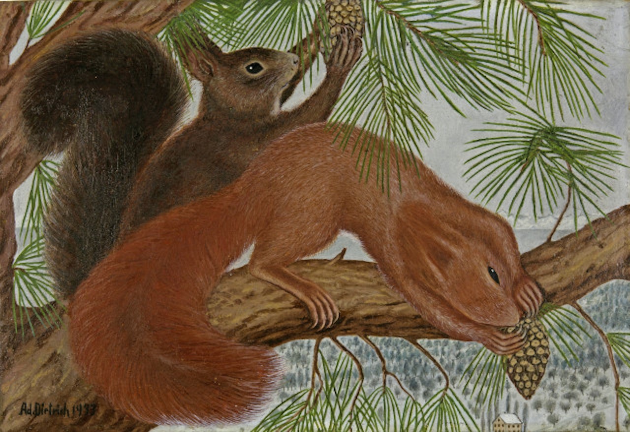 Zwei Eichhörnchen by Adolf Dietrich
