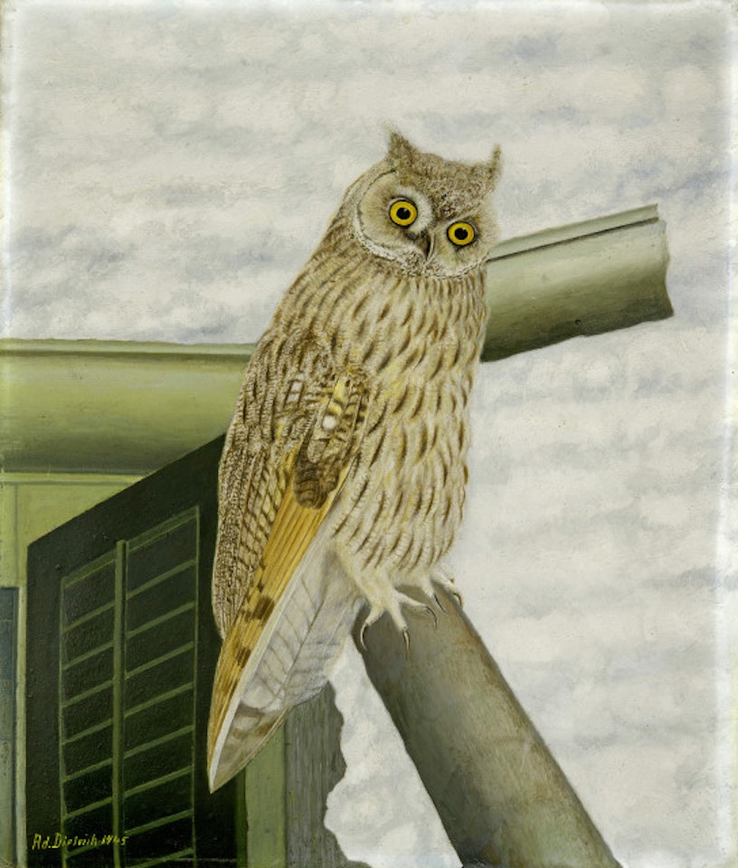 Eule im Winter by Adolf Dietrich