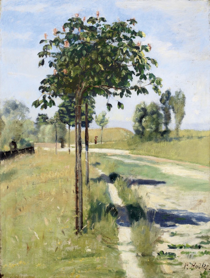 Blühende Kastanienbäumchen by Ferdinand Hodler