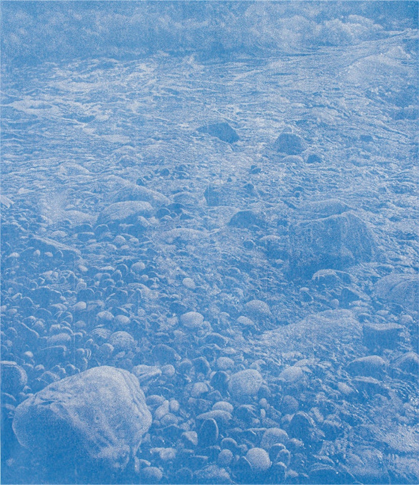Cima del Mar by Franz Gertsch
