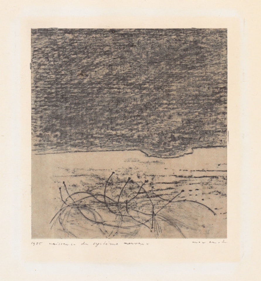 naissance of the nervous system by Max Ernst