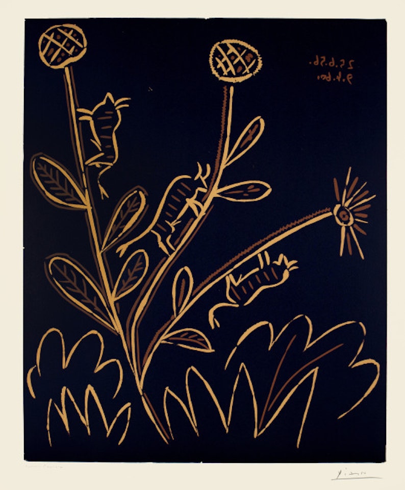 Plante aux toritos Cannes, June 25, 1959 by Pablo Picasso