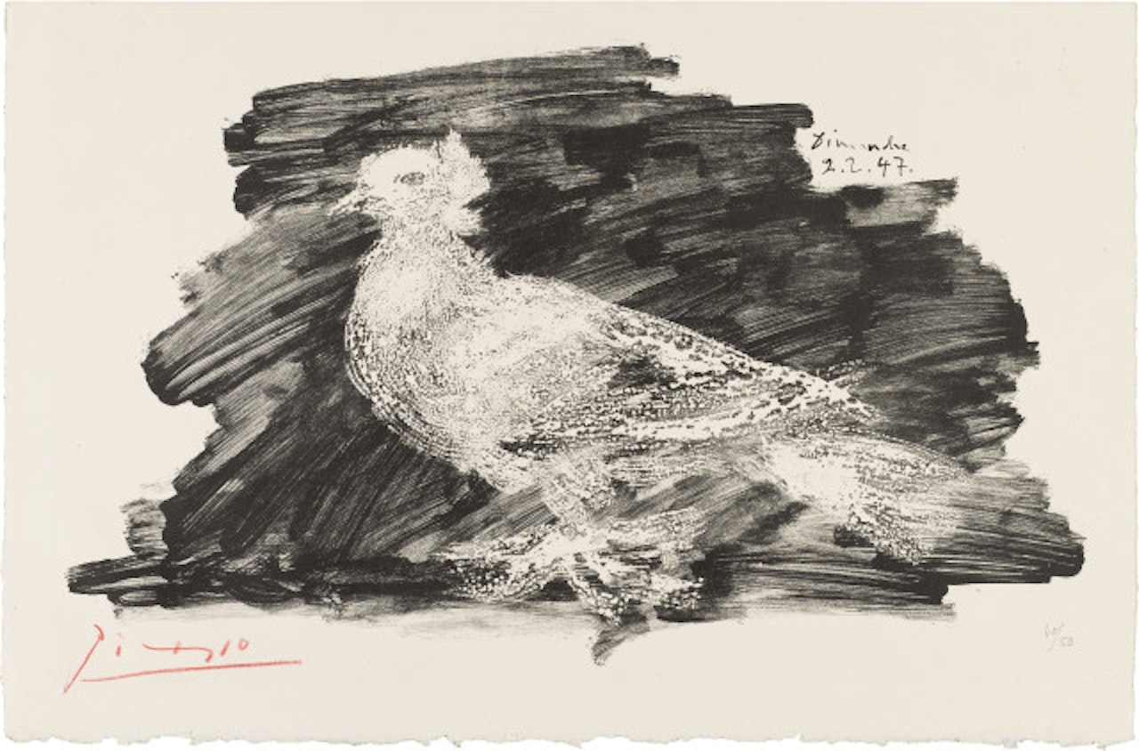 Le Pigeon Blanc by Pablo Picasso