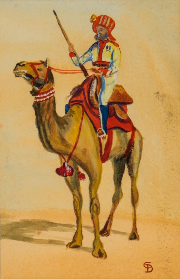 "CAMEL WARRIOR" by English School