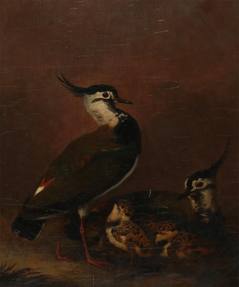 "NESTING BIRDS" by English School