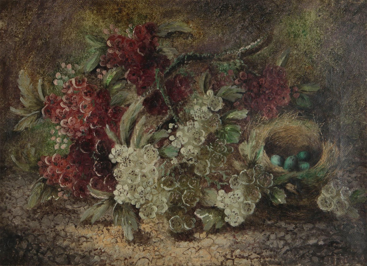 "BIRDS NEST & WILD FLOWERS" by English School
