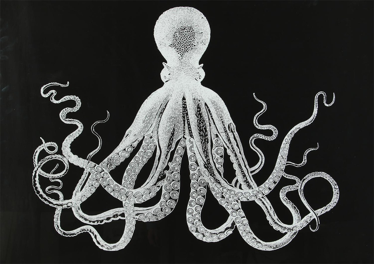 "THE KRAKEN" by English School