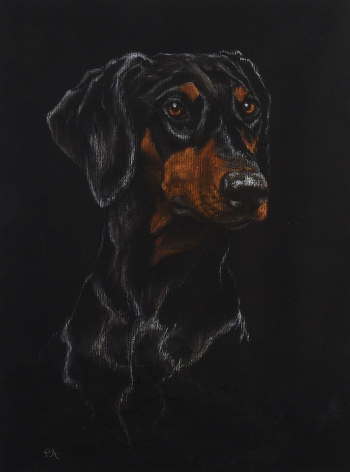 "DOBERMAN PINCHER" by English School