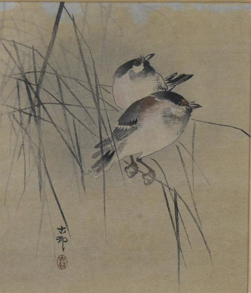 Trendy birds by Chinese School
