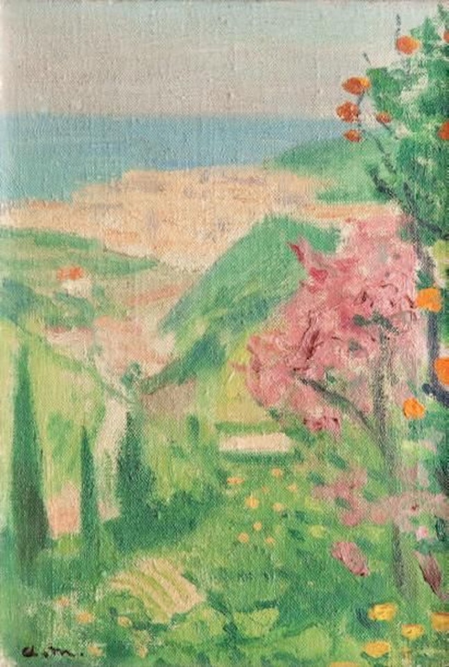 The Montplaisant road in Algiers by Albert Marquet