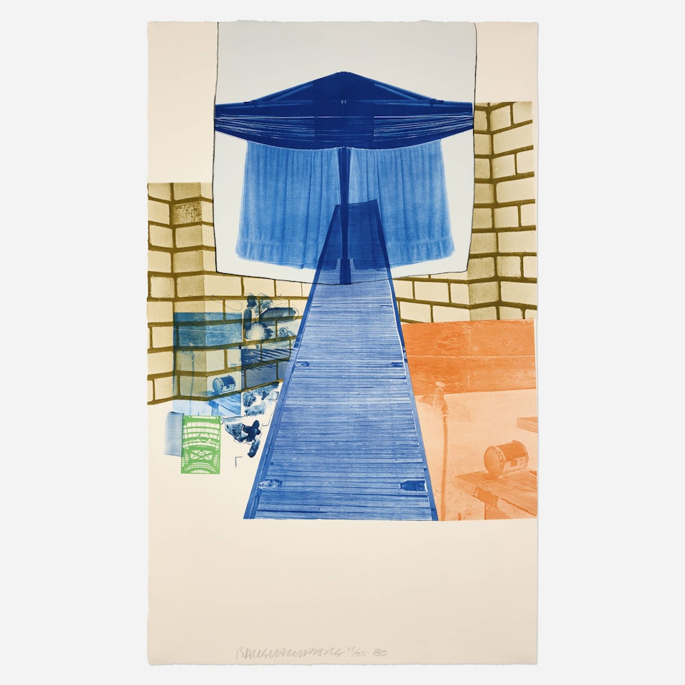 Plate IV (from the Glacial Decoy series) by Robert Rauschenberg