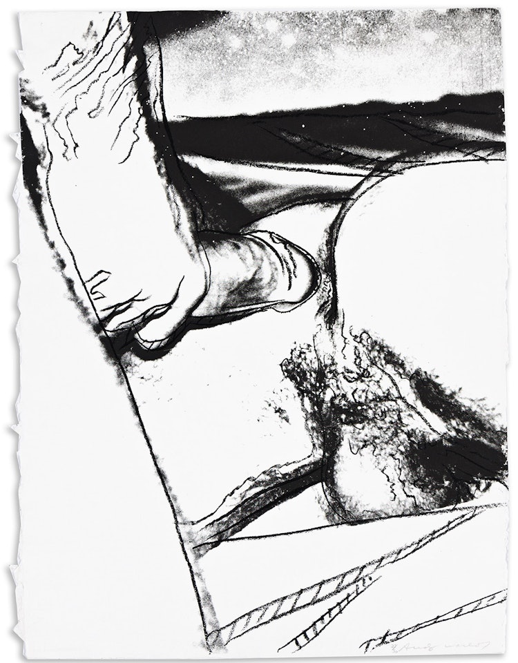Sex Parts. by Andy Warhol