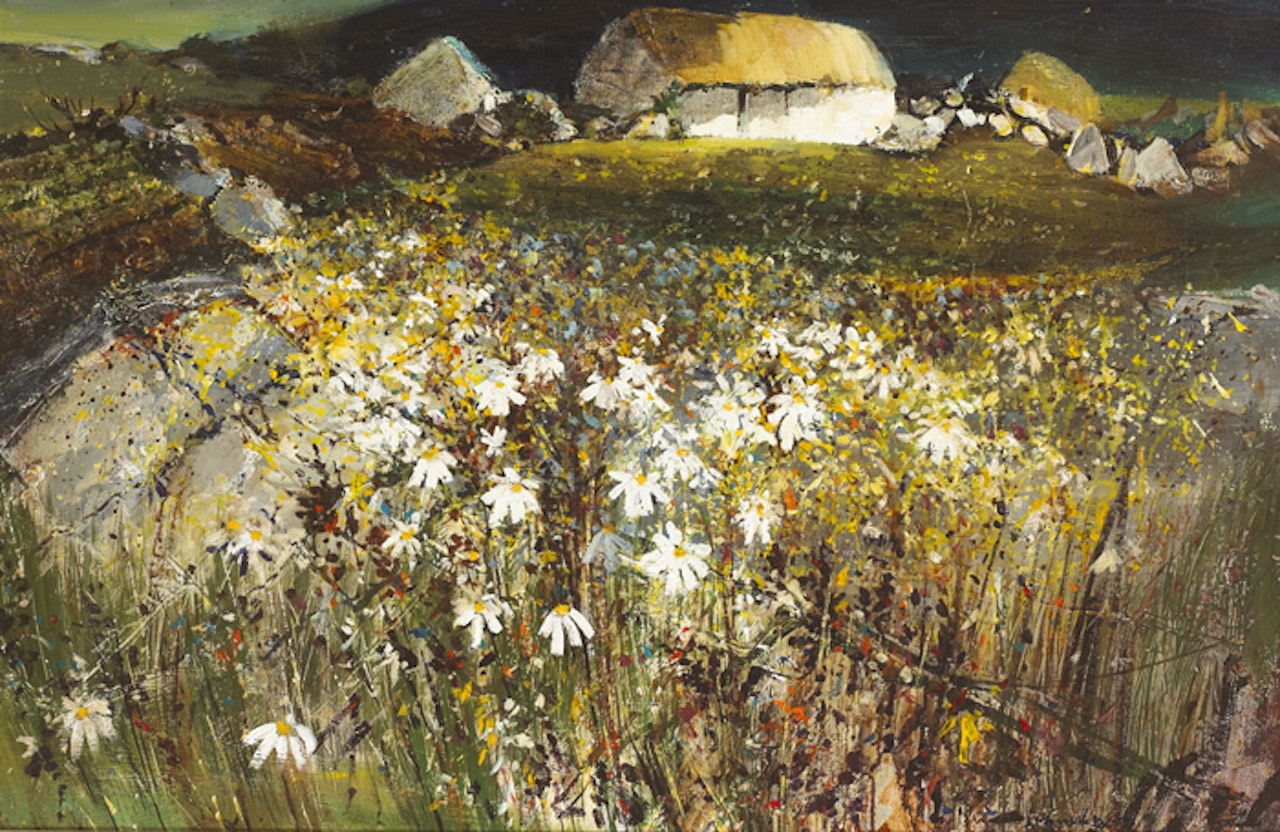 THATCHED COTTAGES AND WILD DAISIES by Kenneth Webb