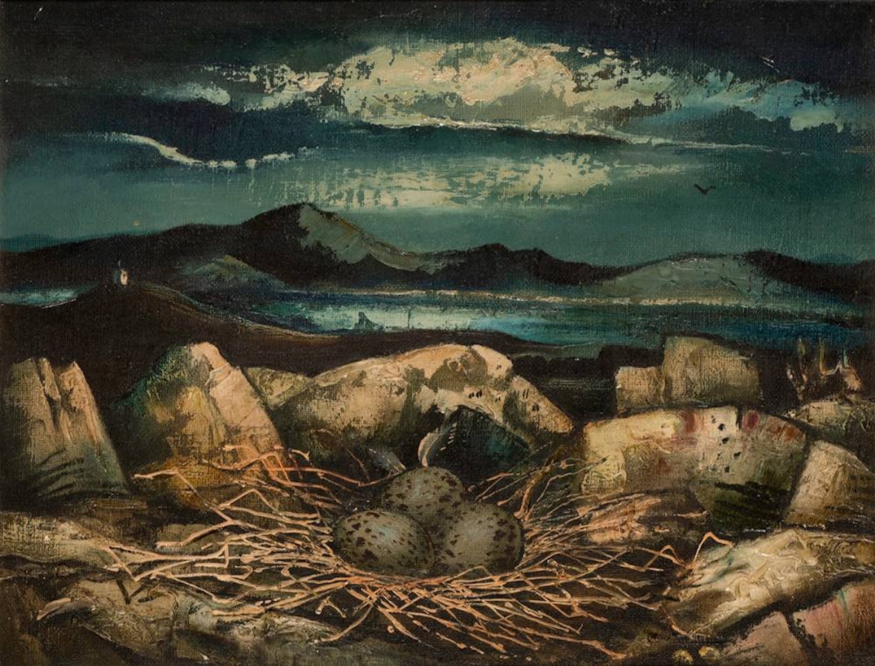 BIRD"S NEST by Daniel O'Neill