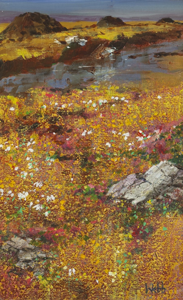 BOG COTTON AND HEATHER, CONNEMARA by Kenneth Webb