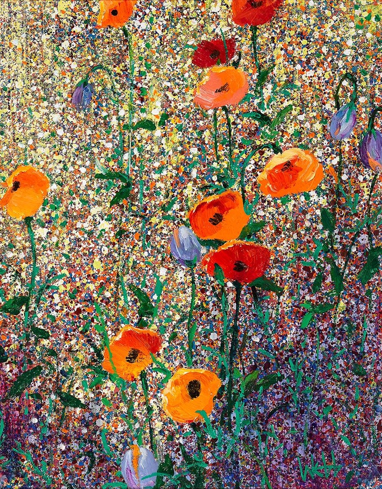 CALIFORNIAN POPPIES by Kenneth Webb