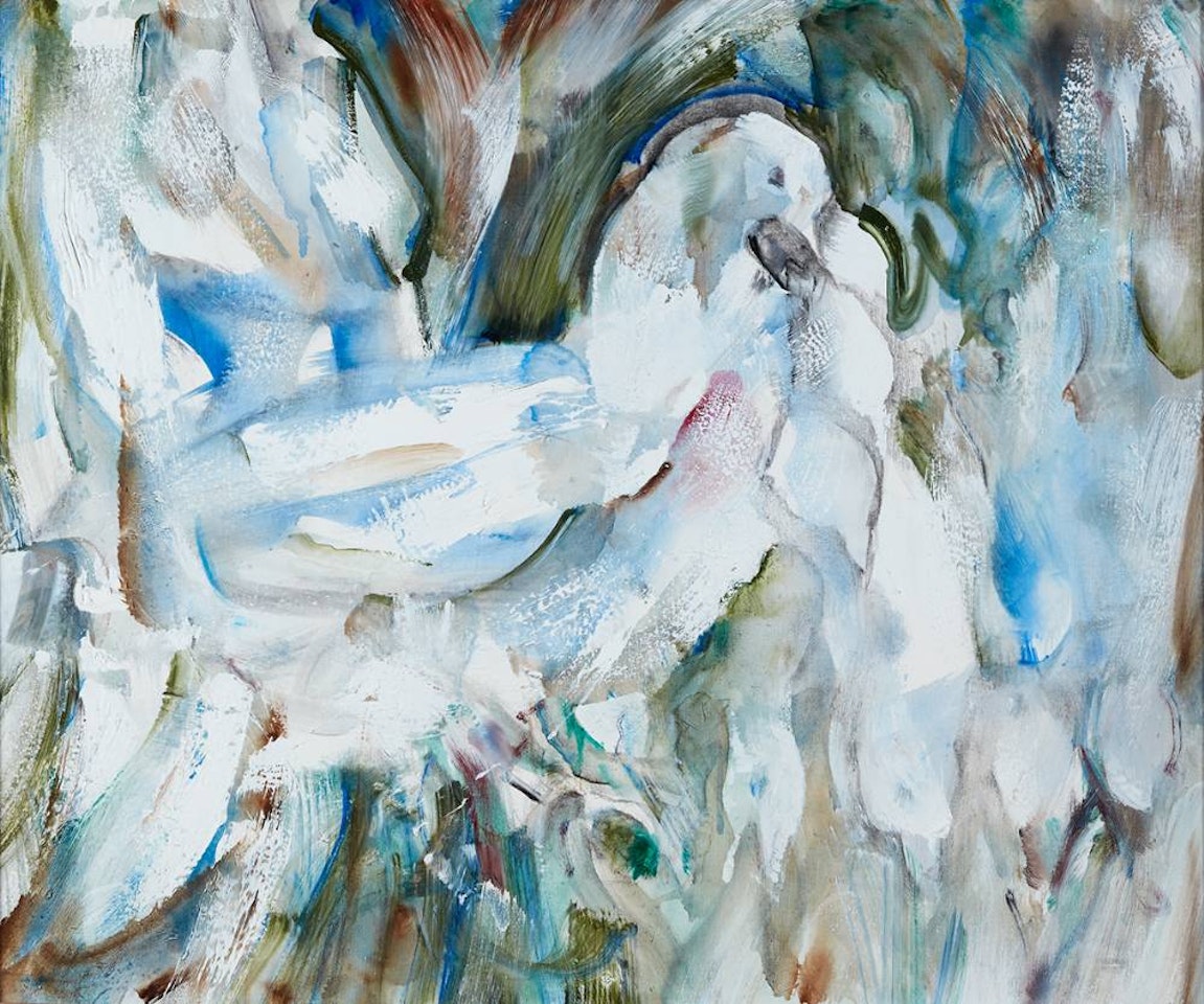 DOVES by Louis Le Brocquy