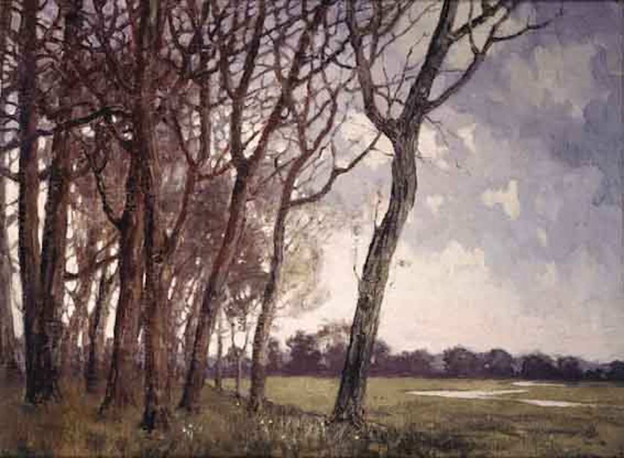 TREES, COUNTY WICKLOW by Paul Henry