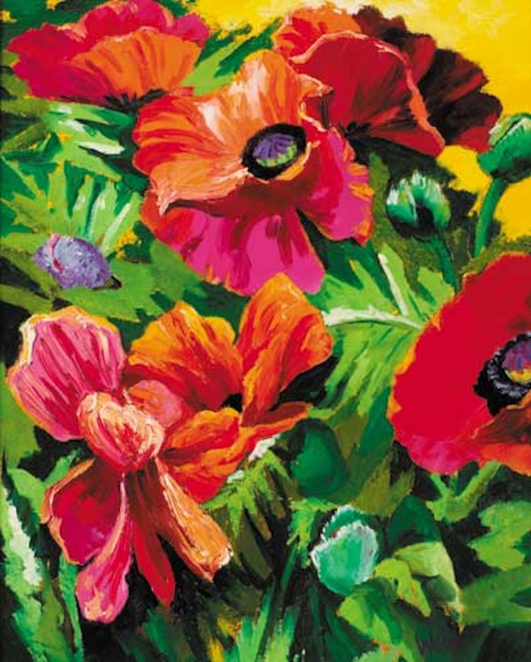 FIVE POPPIES by Kenneth Webb