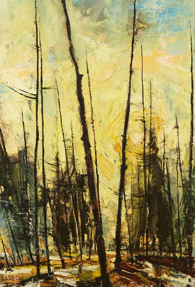 SUNLIT FOREST by Kenneth Webb