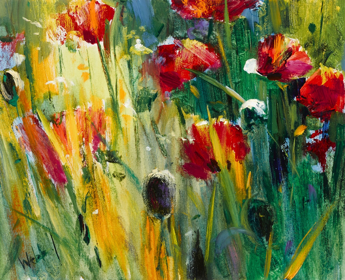 POPPIES by Kenneth Webb