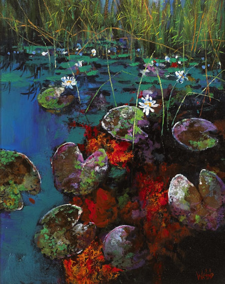 EVENING GLOW, BALLINABOY POND by Kenneth Webb
