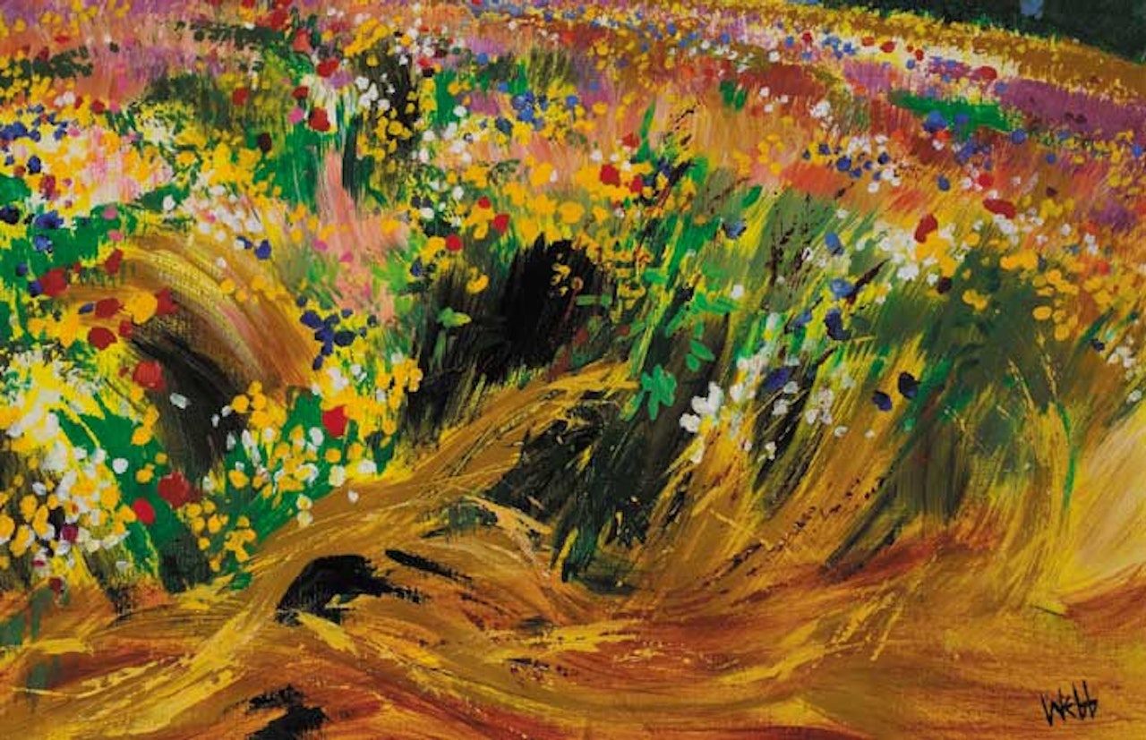 FIELD IN FULL BLOOM by Kenneth Webb