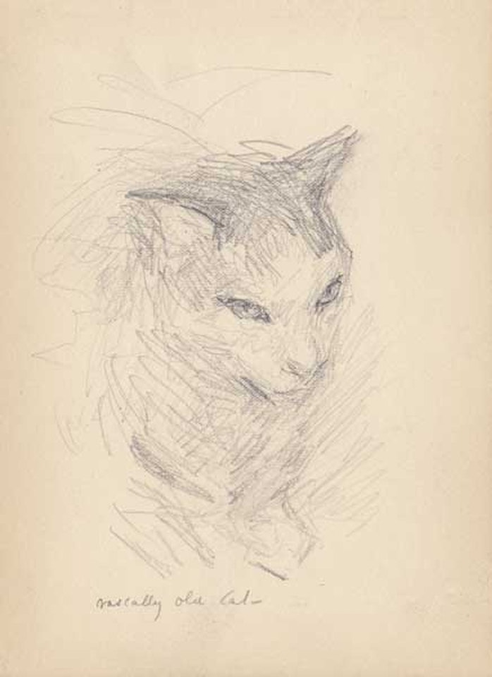 RASCALLY OLD CAT by John Butler Yeats