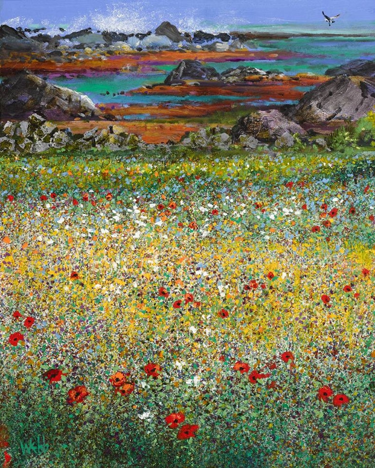 ATLANTIC MEADOW [WILDFLOWERS, CORNWALL] by Kenneth Webb