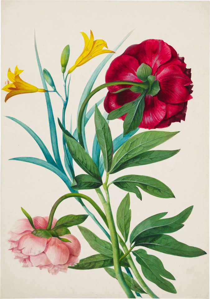 Peonies and alstroemeria by English School