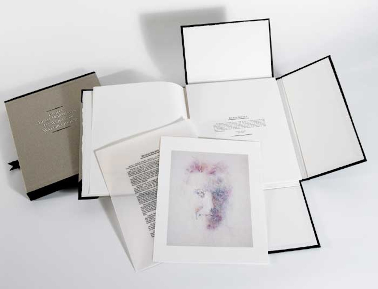 EIGHT IRISH PORTRAITS IN WORDS AND WATERCOLOUR by Louis Le Brocquy