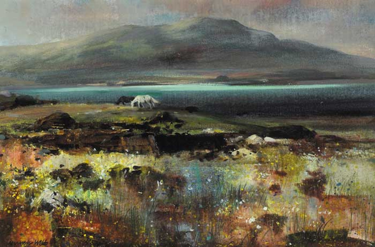 CONNEMARA PONIES, MAAM CROSS, COUNTY GALWAY by Kenneth Webb