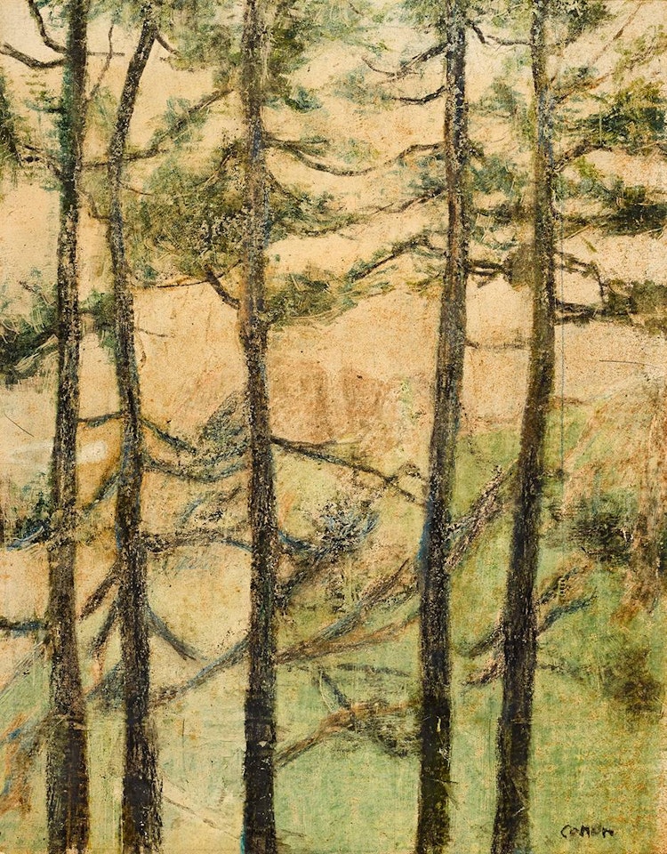 FIR TREES, CAVEHILL, COUNTY ANTRIM by William Conor