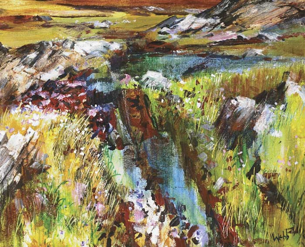 BOG CUT, NEAR CLIFDEN by Kenneth Webb