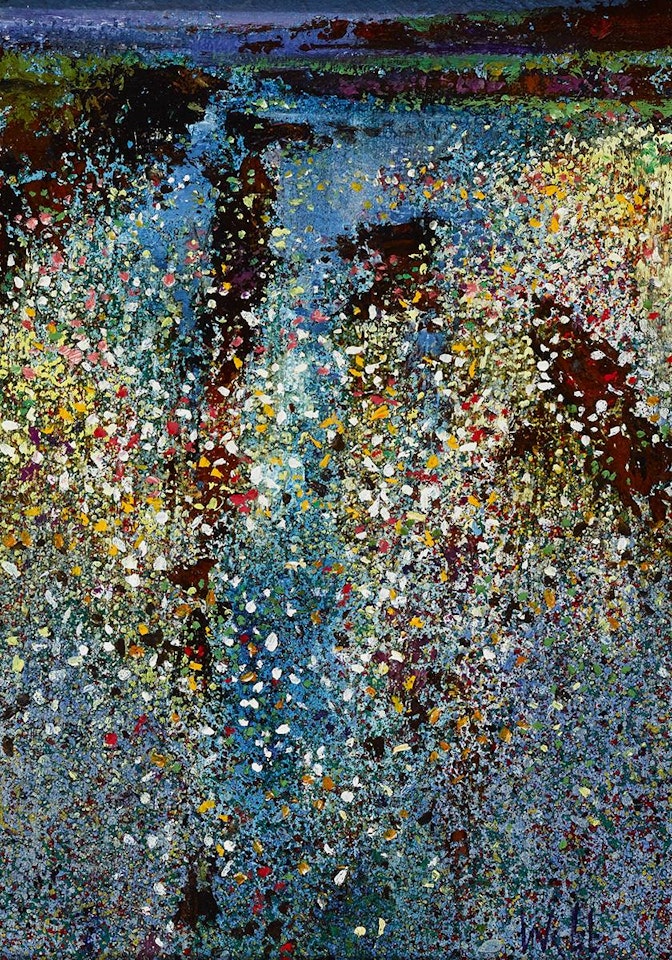 FLOWERS IN THE BOG, ROUNDSTONE, COUNTY GALWAY by Kenneth Webb