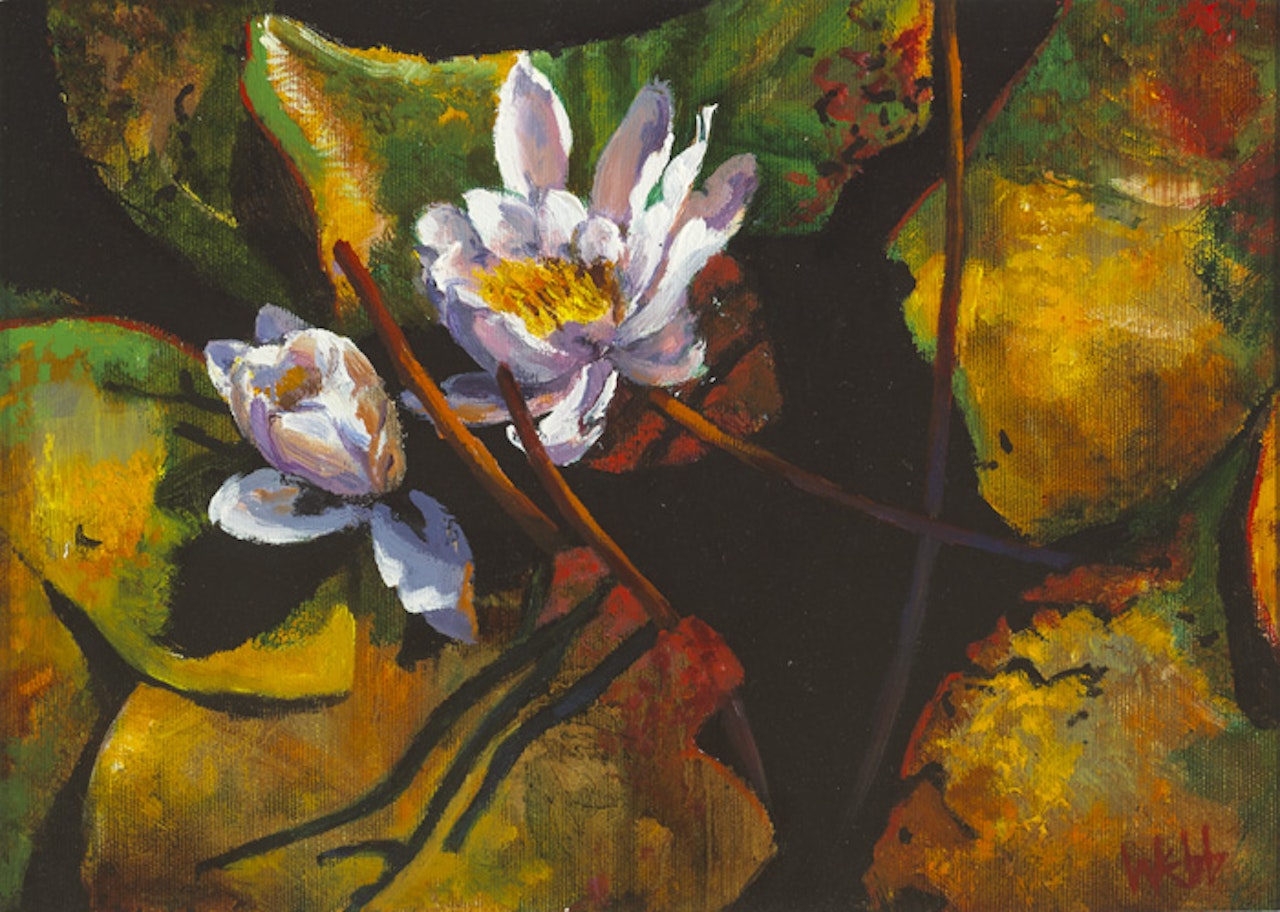 WATER LILIES by Kenneth Webb