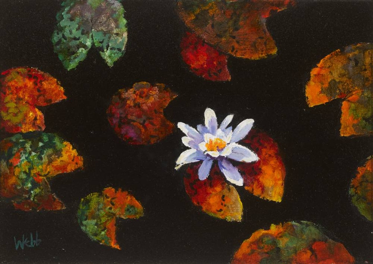 BALLINABOY LILY by Kenneth Webb