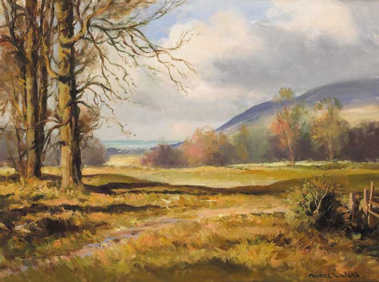 IN TOLLYMORE PARK, NEWCASTLE, COUNTY DOWN by Maurice Canning Wilks