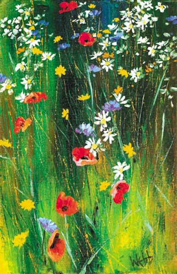 CONNEMARA GRASSES AND WILD FLOWERS by Kenneth Webb