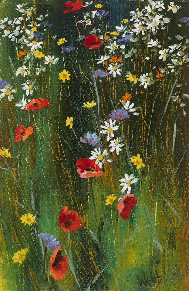 CONNEMARA GRASSES AND WILD FLOWERS by Kenneth Webb