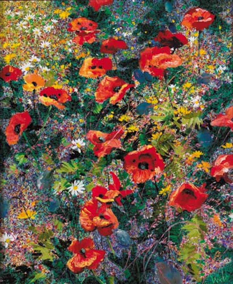 POPPIES by Kenneth Webb